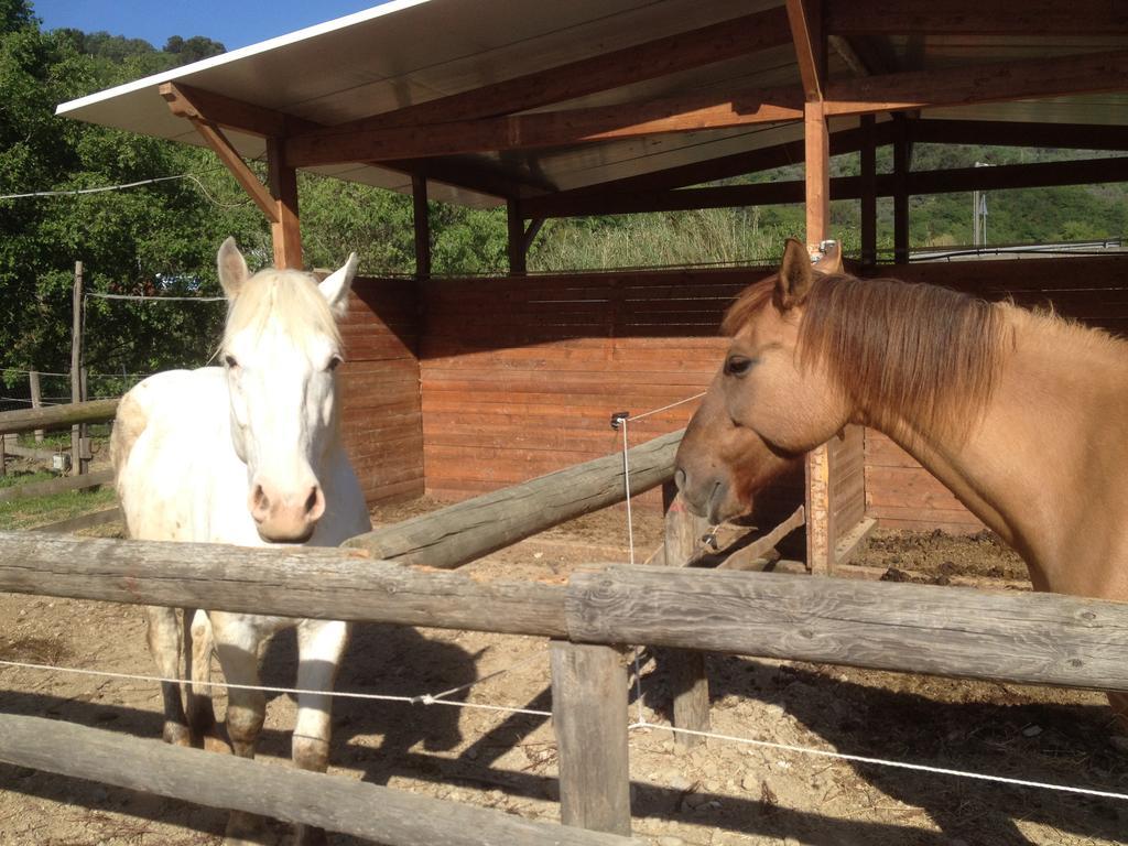 Il Piccolo Ranch Cervo Bagian luar foto