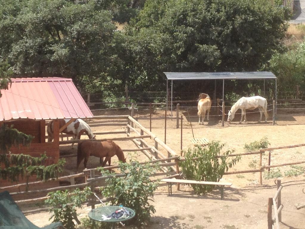 Il Piccolo Ranch Cervo Bagian luar foto