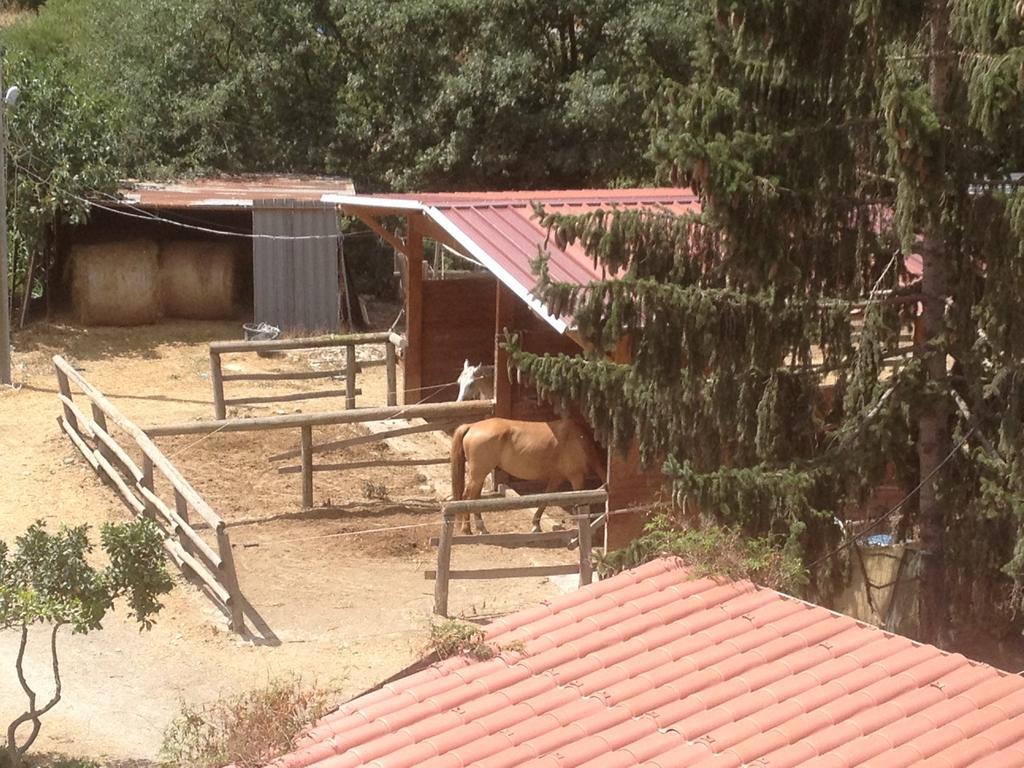 Il Piccolo Ranch Cervo Bagian luar foto