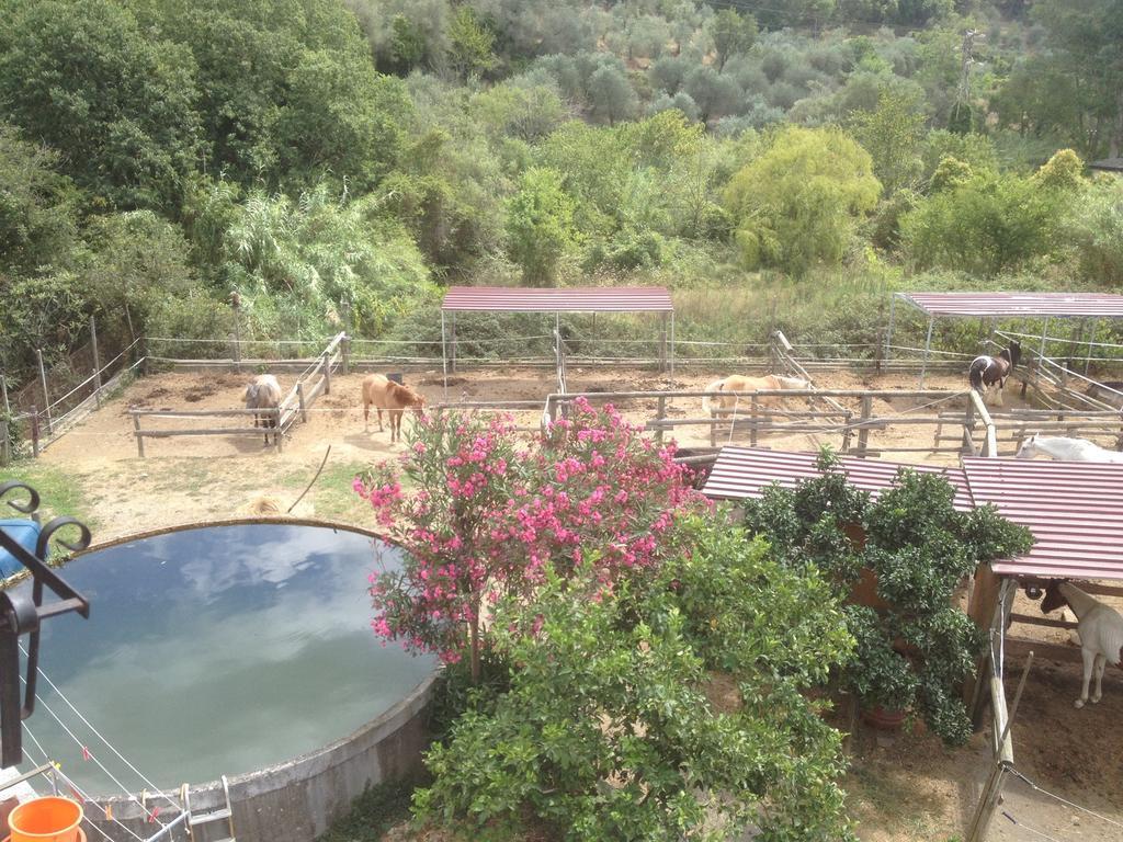 Il Piccolo Ranch Cervo Bagian luar foto