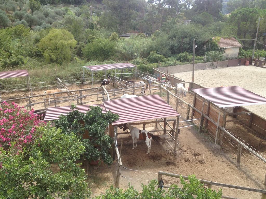 Il Piccolo Ranch Cervo Bagian luar foto